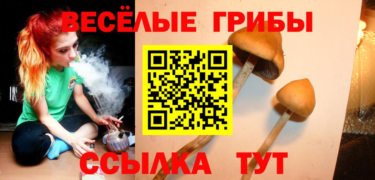 как найти закладки  Псилоцибиновые грибы мицелий  Вход с VPN  Дзержинский  Псилоцибиновые грибы MAGIC MUSHROOMS 